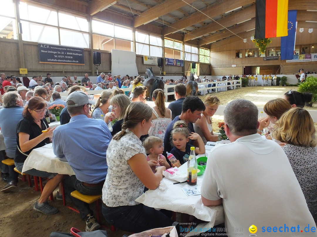 Fohlenmarkt: Riedlingen, 23.08.2018