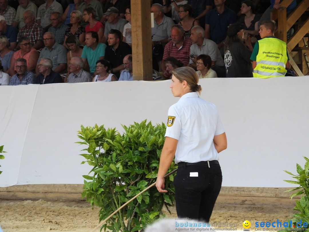 Fohlenmarkt: Riedlingen, 23.08.2018