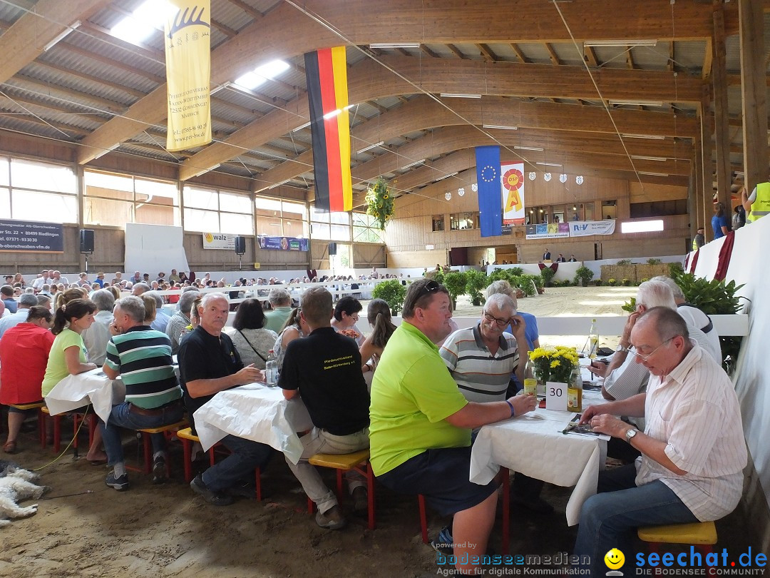 Fohlenmarkt: Riedlingen, 23.08.2018