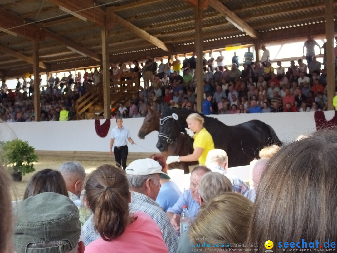 Fohlenmarkt: Riedlingen, 23.08.2018