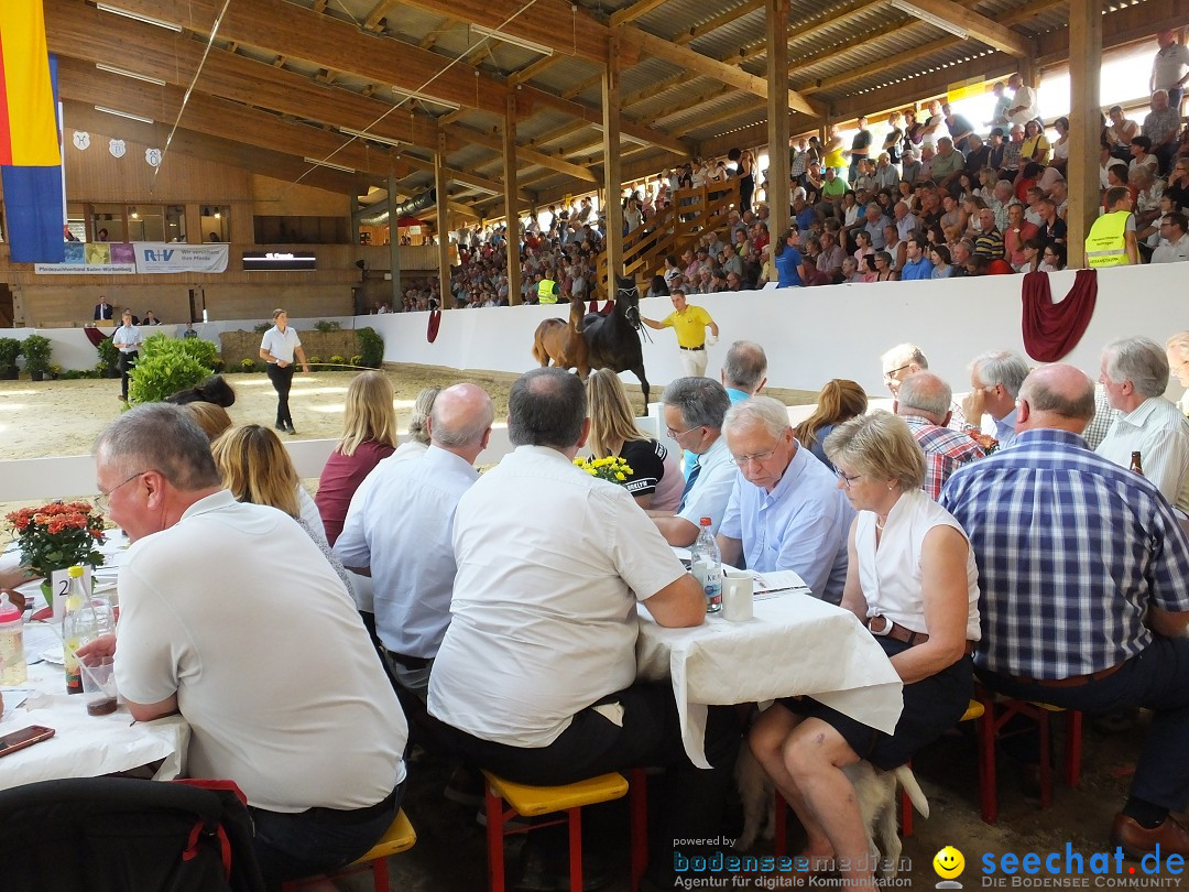 Fohlenmarkt: Riedlingen, 23.08.2018