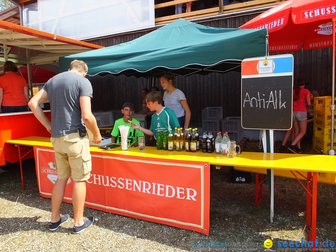 Fohlenmarkt: Riedlingen, 23.08.2018