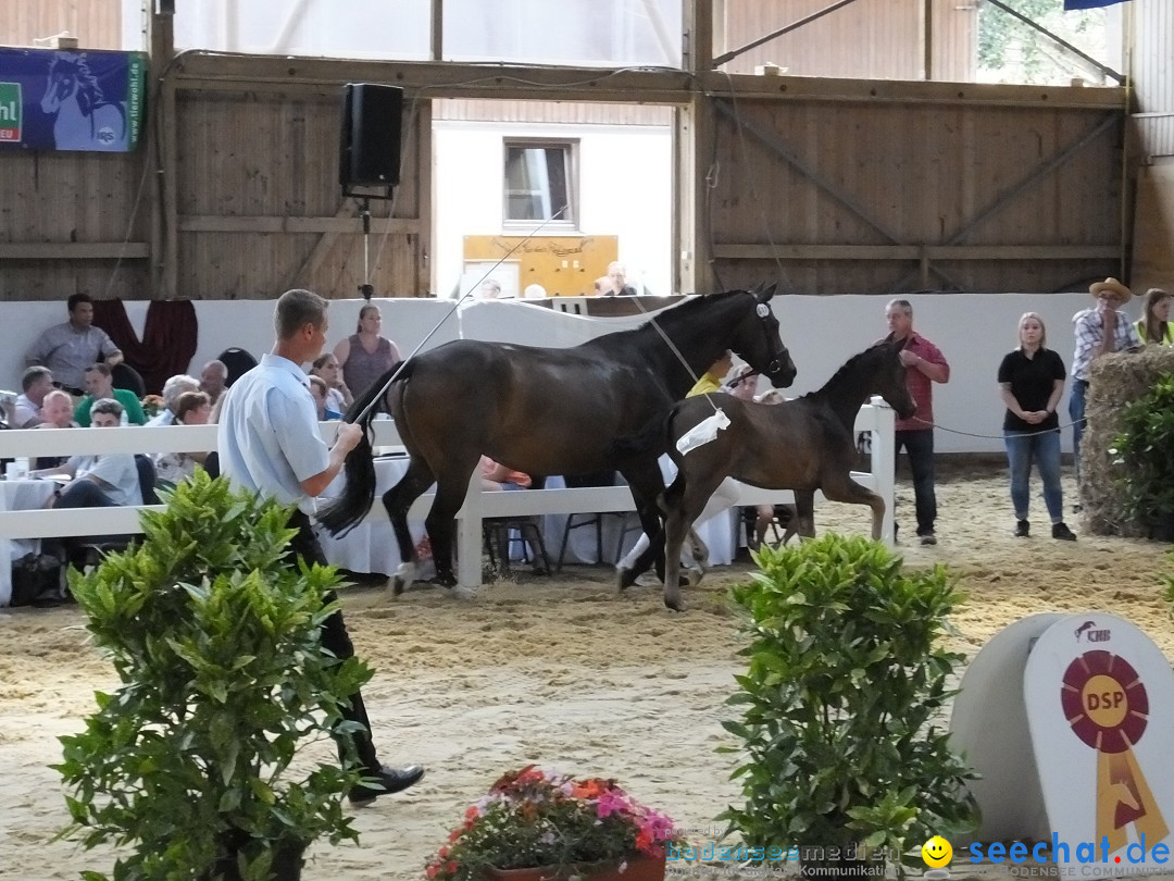 Fohlenmarkt: Riedlingen, 23.08.2018