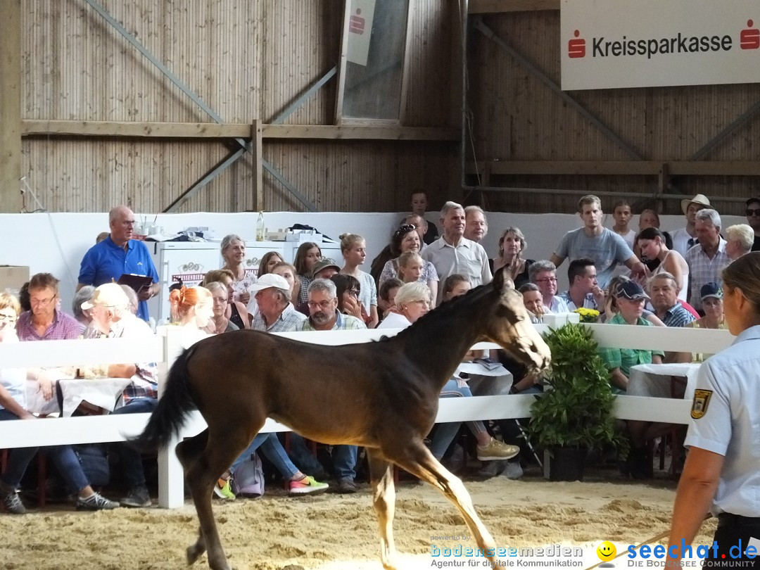 Fohlenmarkt: Riedlingen, 23.08.2018