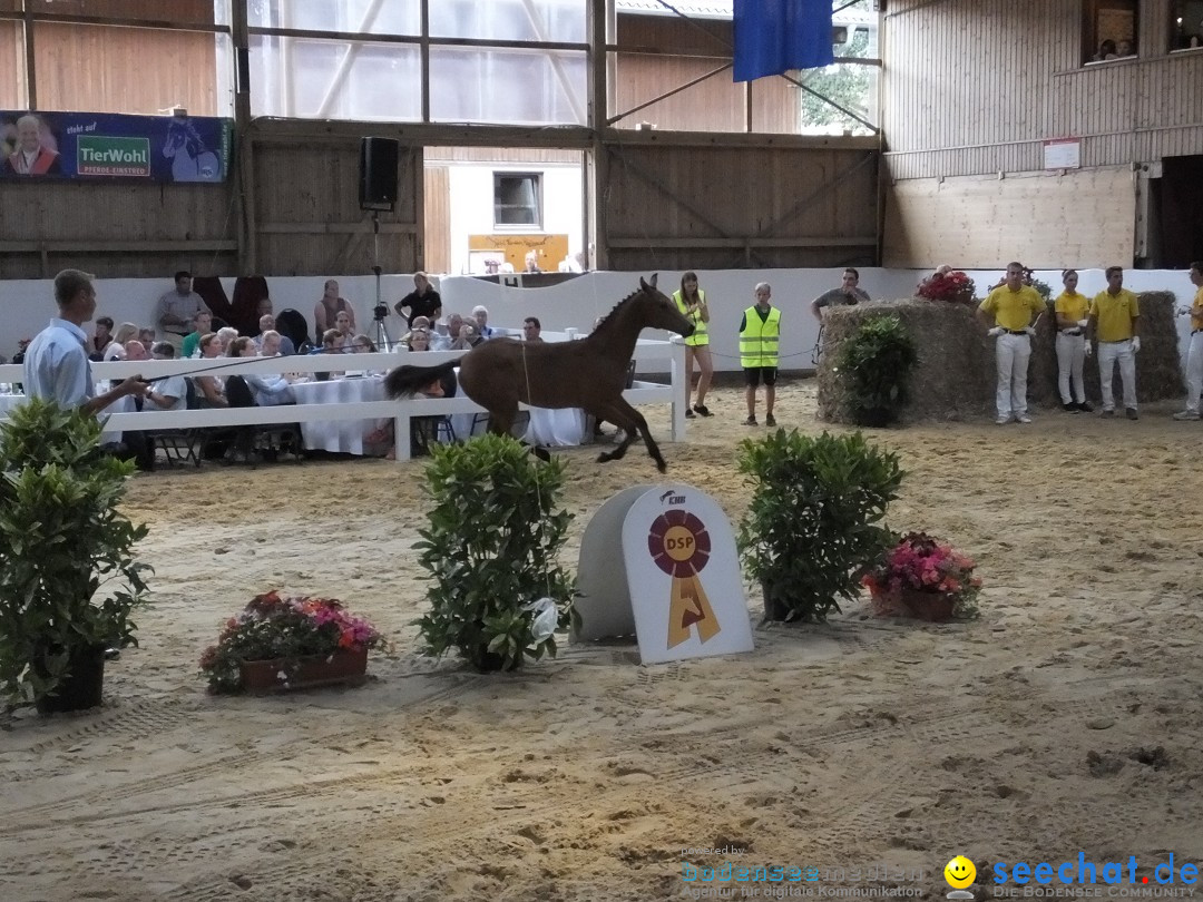 Fohlenmarkt: Riedlingen, 23.08.2018