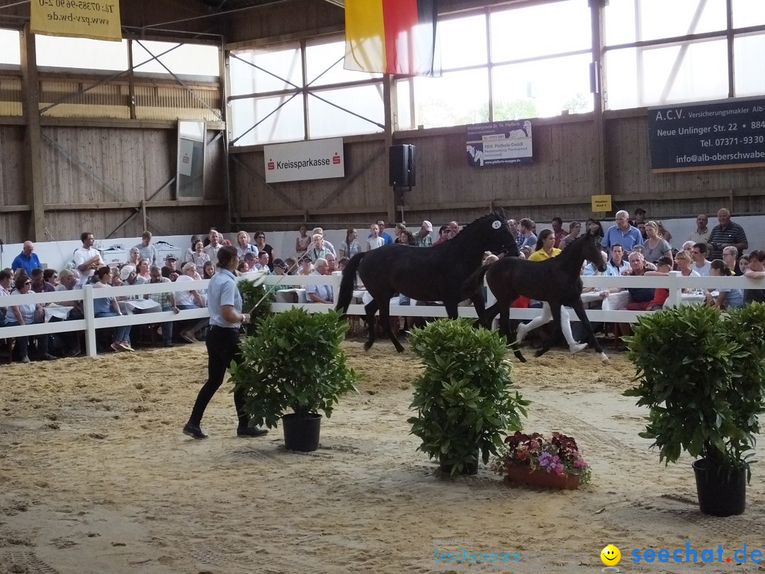 Fohlenmarkt: Riedlingen, 23.08.2018