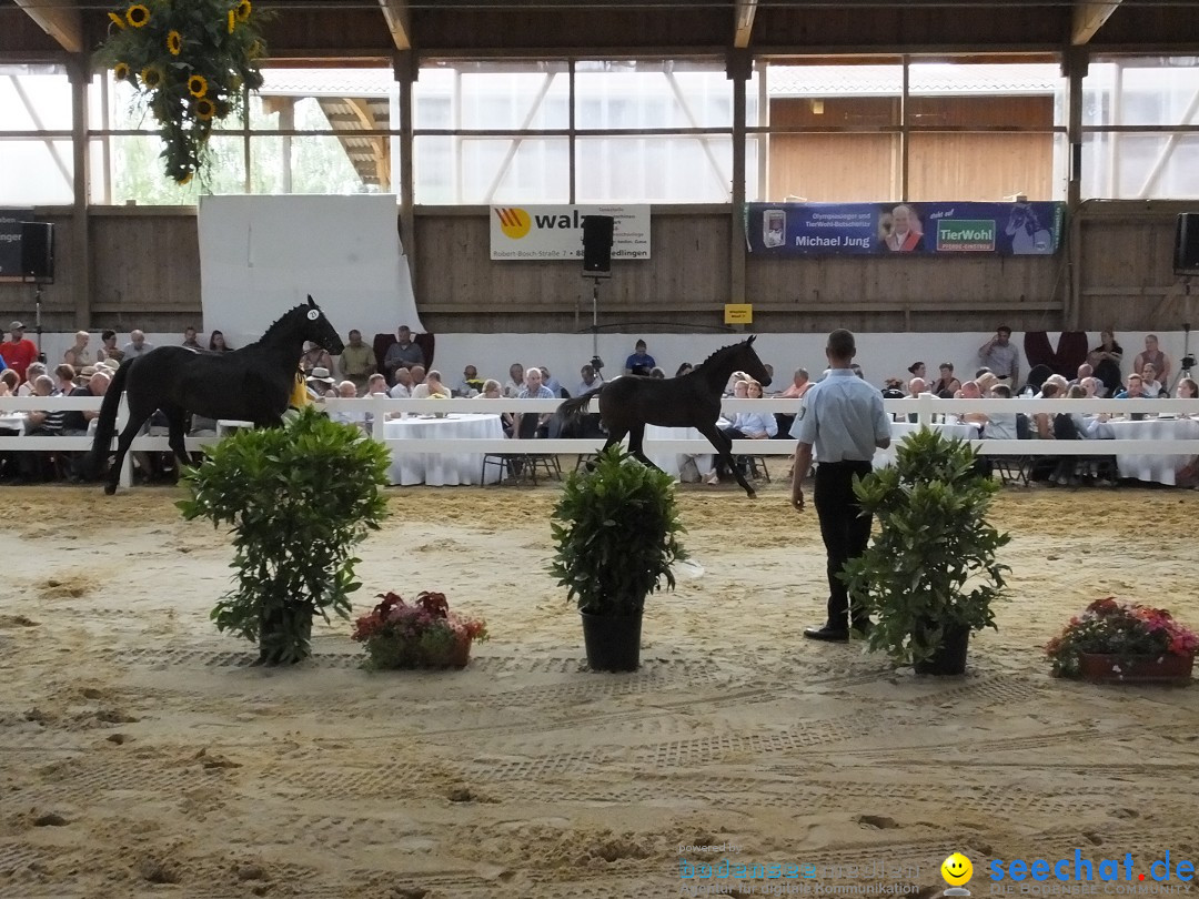 Fohlenmarkt: Riedlingen, 23.08.2018