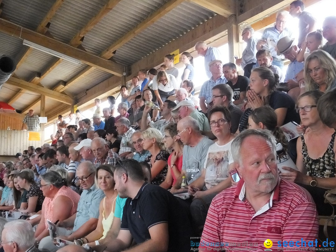 Fohlenmarkt: Riedlingen, 23.08.2018