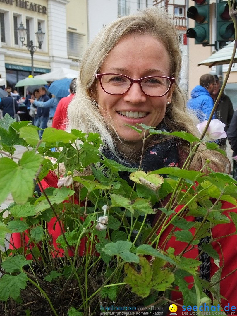 Flohmarkt: Sigmaringen, 25.08.2018