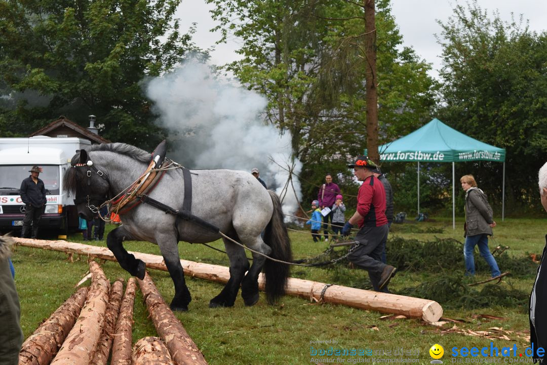 40 Jahre Bauernhausmuseum: Wolfegg - Allgaeu, 02.09.2018