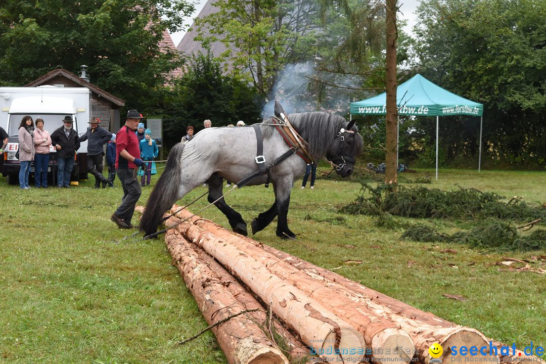 40 Jahre Bauernhausmuseum: Wolfegg - Allgaeu, 02.09.2018