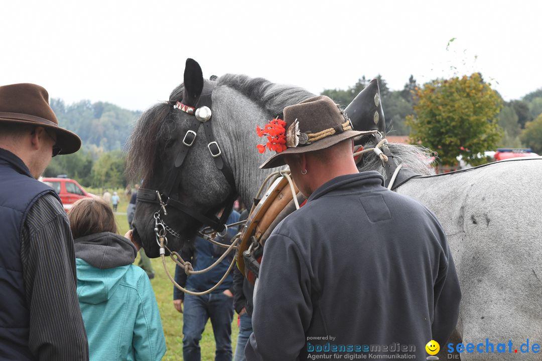 40 Jahre Bauernhausmuseum: Wolfegg - Allgaeu, 02.09.2018