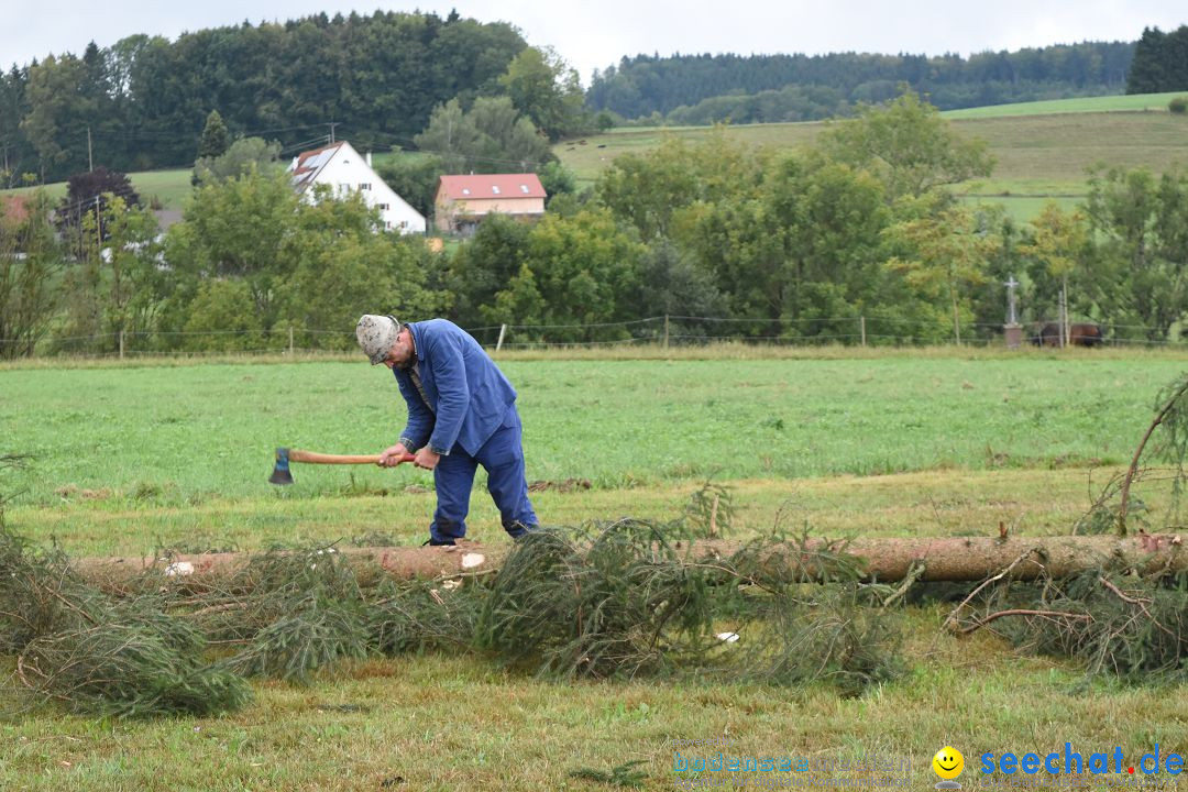 40 Jahre Bauernhausmuseum: Wolfegg - Allgaeu, 02.09.2018