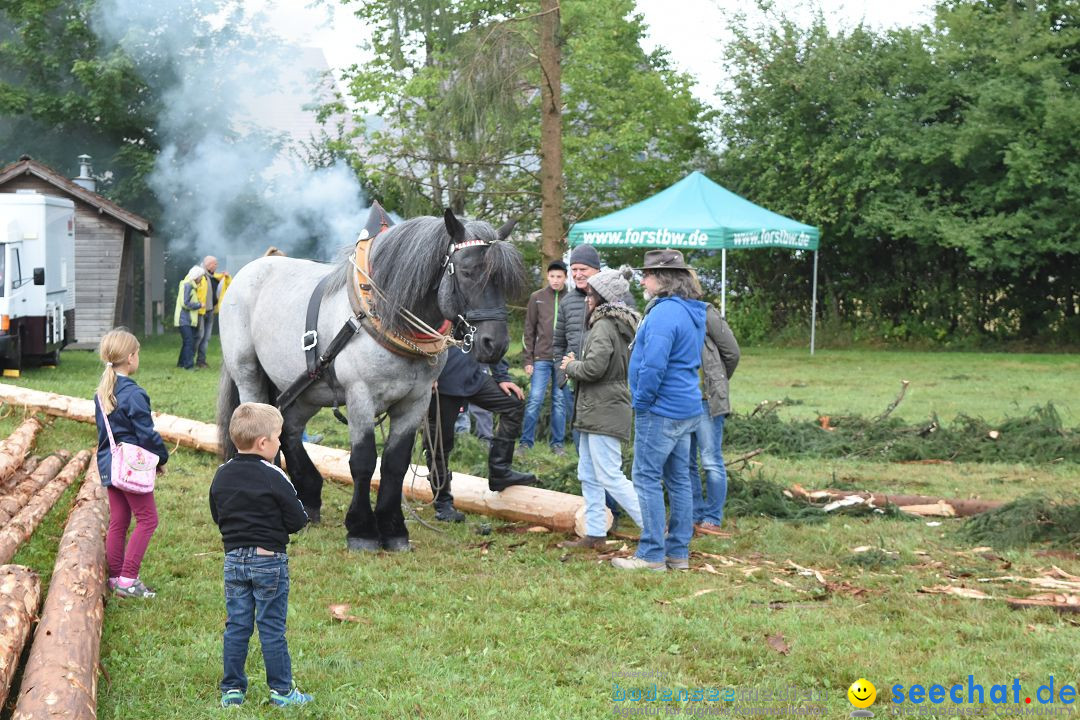 40 Jahre Bauernhausmuseum: Wolfegg - Allgaeu, 02.09.2018