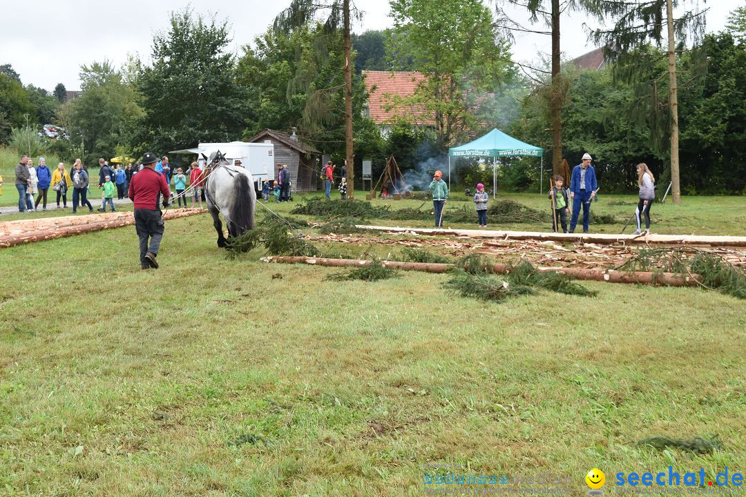 40 Jahre Bauernhausmuseum: Wolfegg - Allgaeu, 02.09.2018