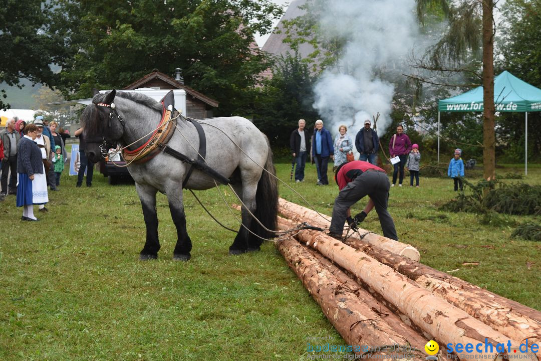 40 Jahre Bauernhausmuseum: Wolfegg - Allgaeu, 02.09.2018