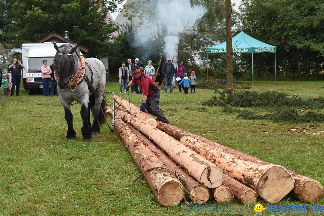 40 Jahre Bauernhausmuseum: Wolfegg - Allgaeu, 02.09.2018