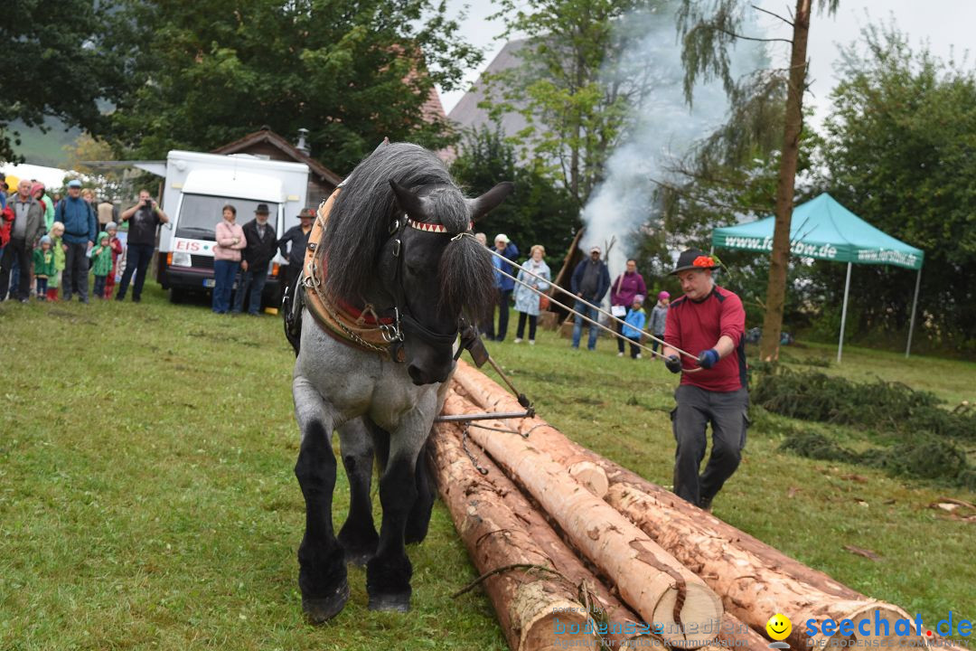 40 Jahre Bauernhausmuseum: Wolfegg - Allgaeu, 02.09.2018