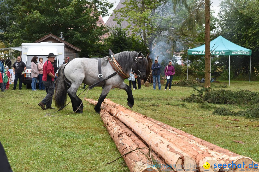 40 Jahre Bauernhausmuseum: Wolfegg - Allgaeu, 02.09.2018