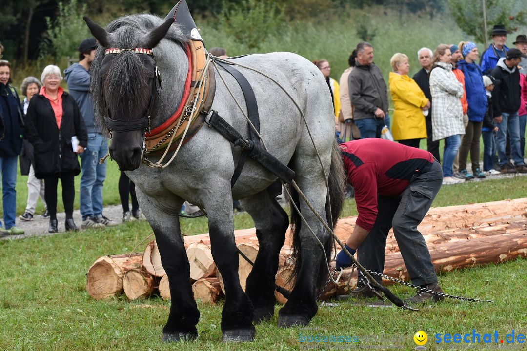 40 Jahre Bauernhausmuseum: Wolfegg - Allgaeu, 02.09.2018