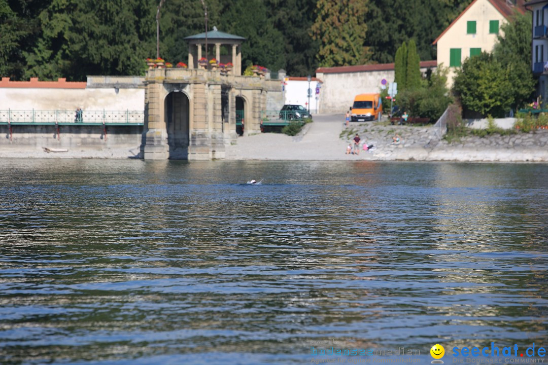 BODENSEEBOOT Breitenquerung, Katja Rauch: Friedrichshafen, 05.09.2018