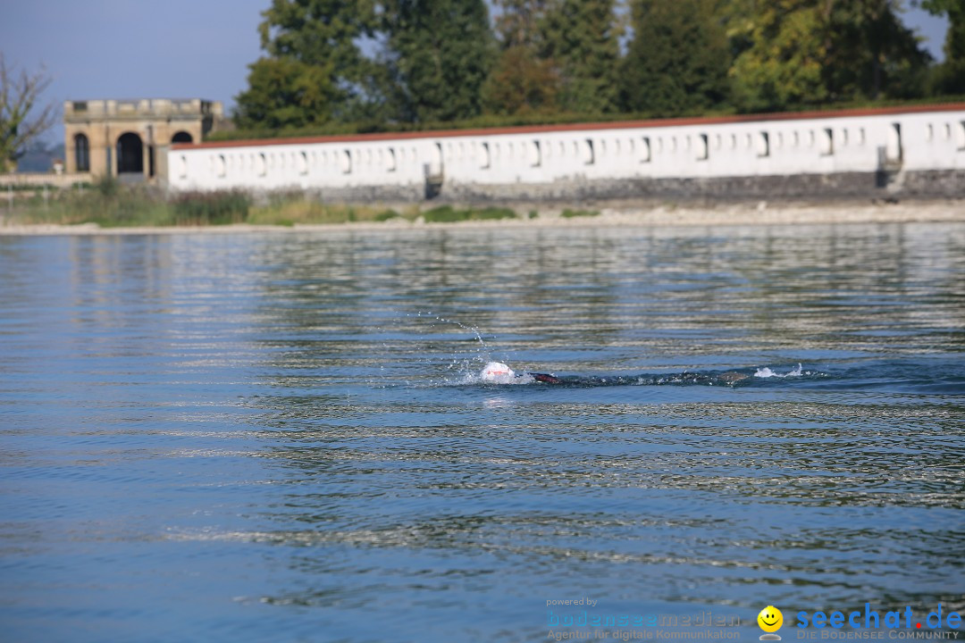 BODENSEEBOOT Breitenquerung, Katja Rauch: Friedrichshafen, 05.09.2018