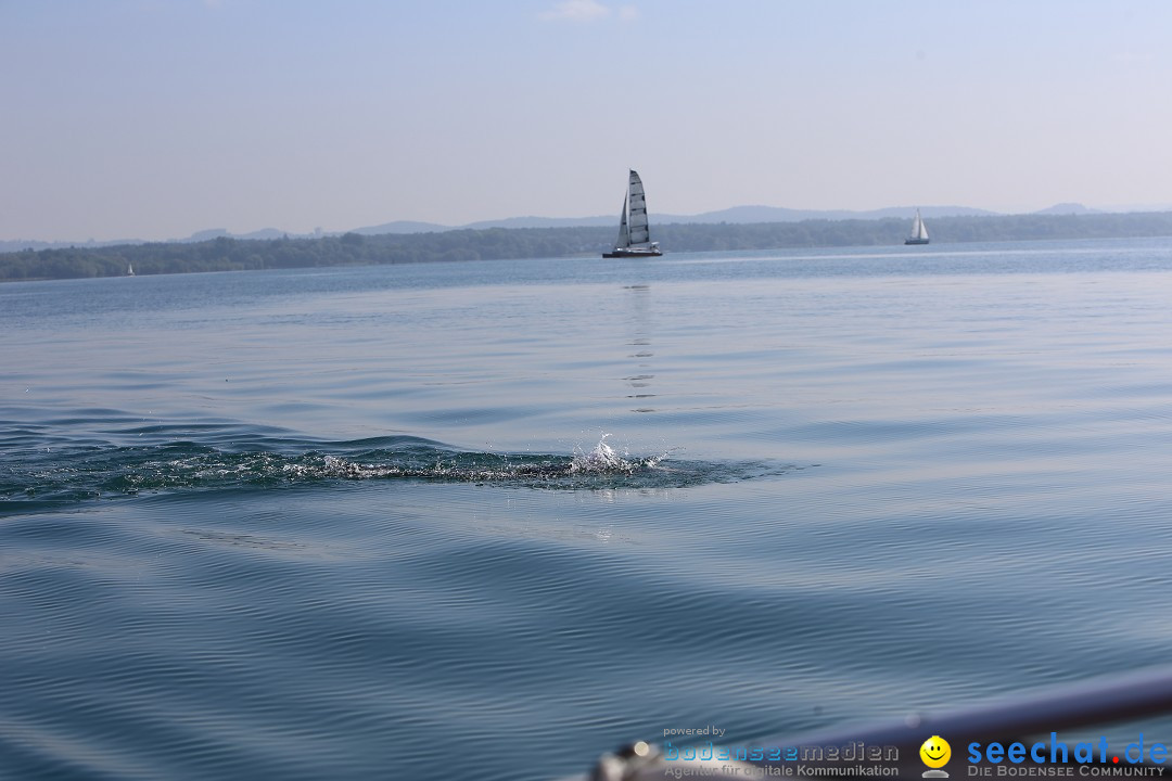 BODENSEEBOOT Breitenquerung, Katja Rauch: Friedrichshafen, 05.09.2018