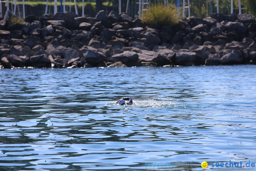 BODENSEEBOOT Breitenquerung, Katja Rauch: Friedrichshafen, 05.09.2018