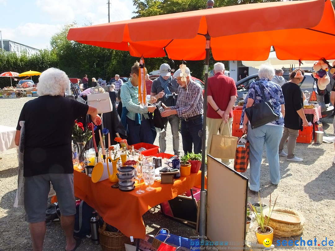 Brunnenfest - Flohmarkt: Laupheim, 08.09.2018