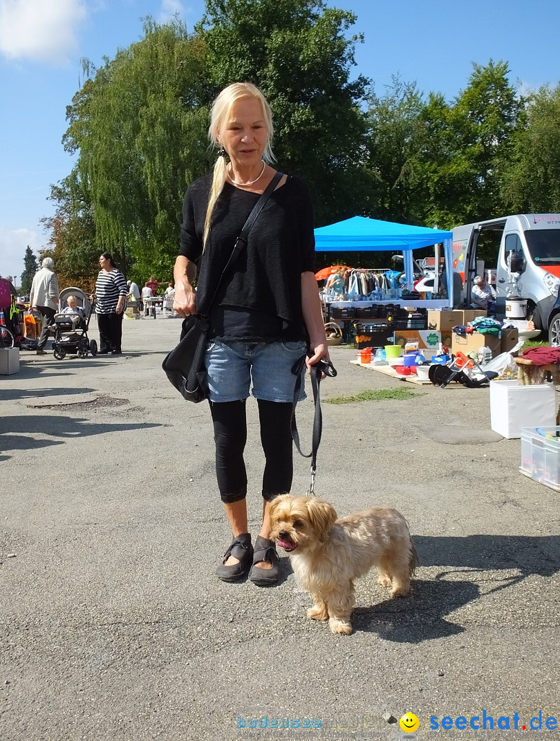 Brunnenfest - Flohmarkt: Laupheim, 08.09.2018