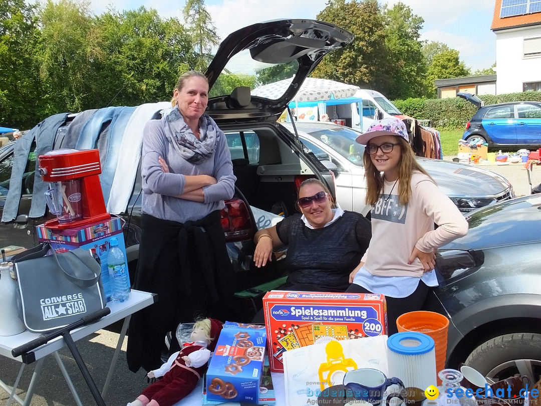 Brunnenfest - Flohmarkt: Laupheim, 08.09.2018