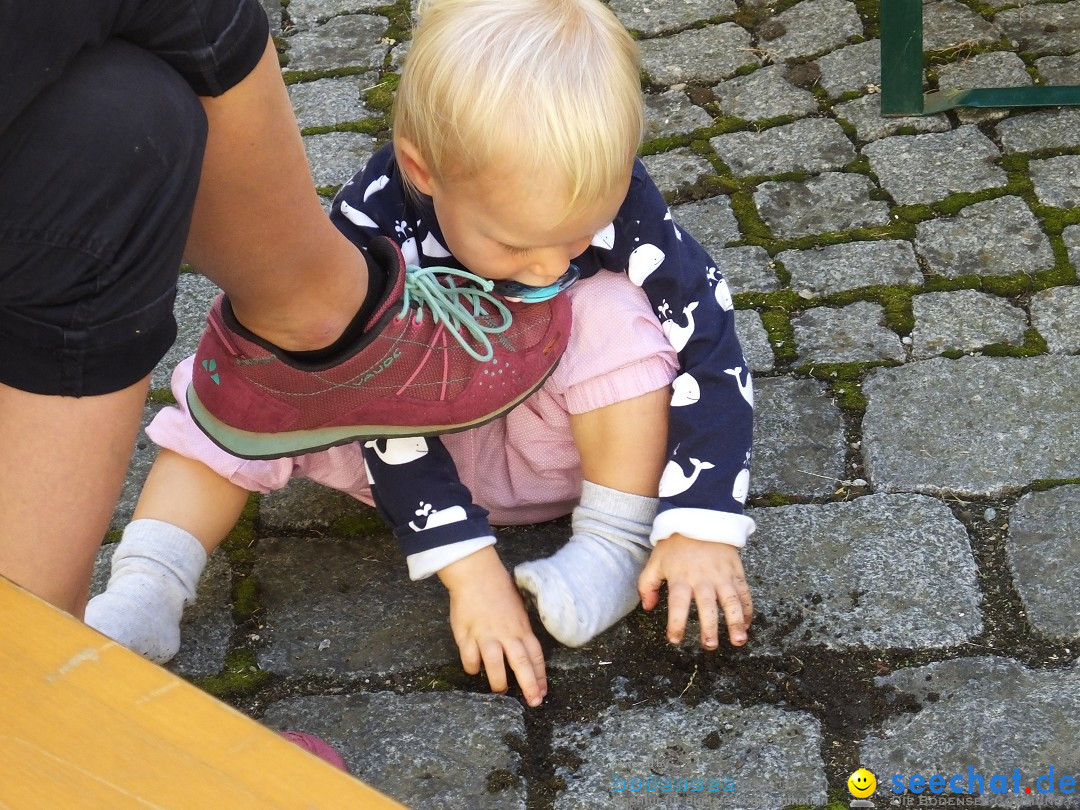 Baehnlesfest: Tettnang am Bodensee, 09.09.2018