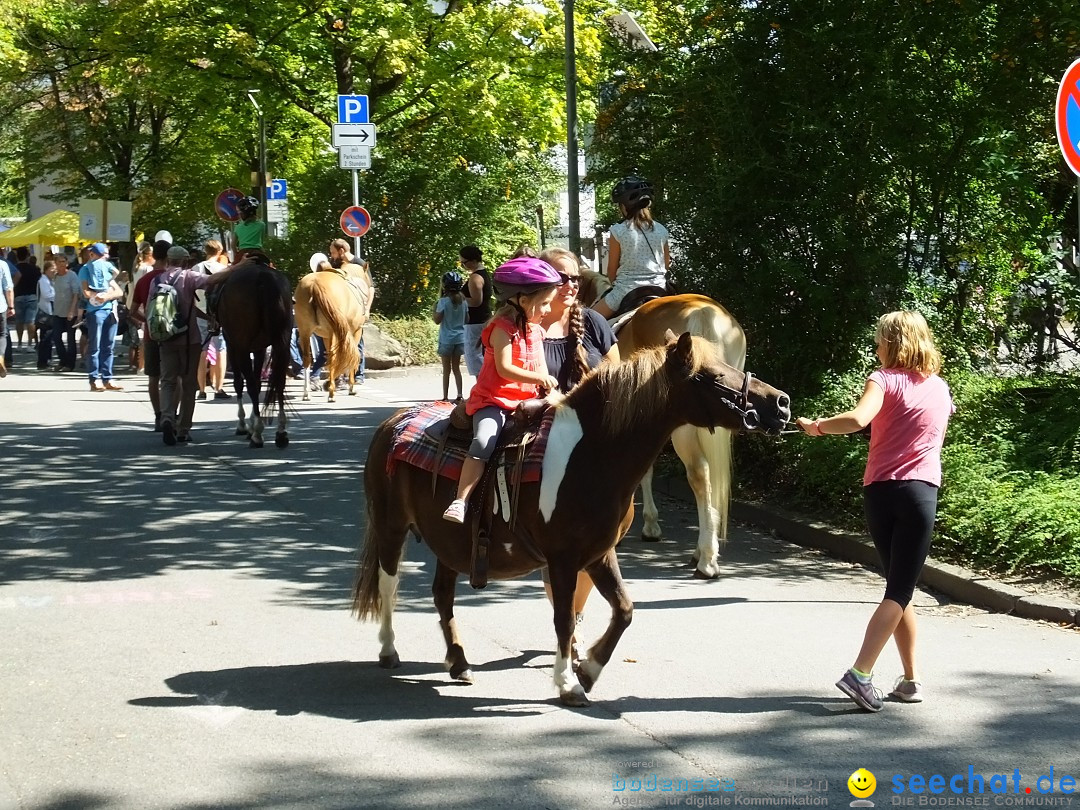 Baehnlesfest: Tettnang am Bodensee, 09.09.2018