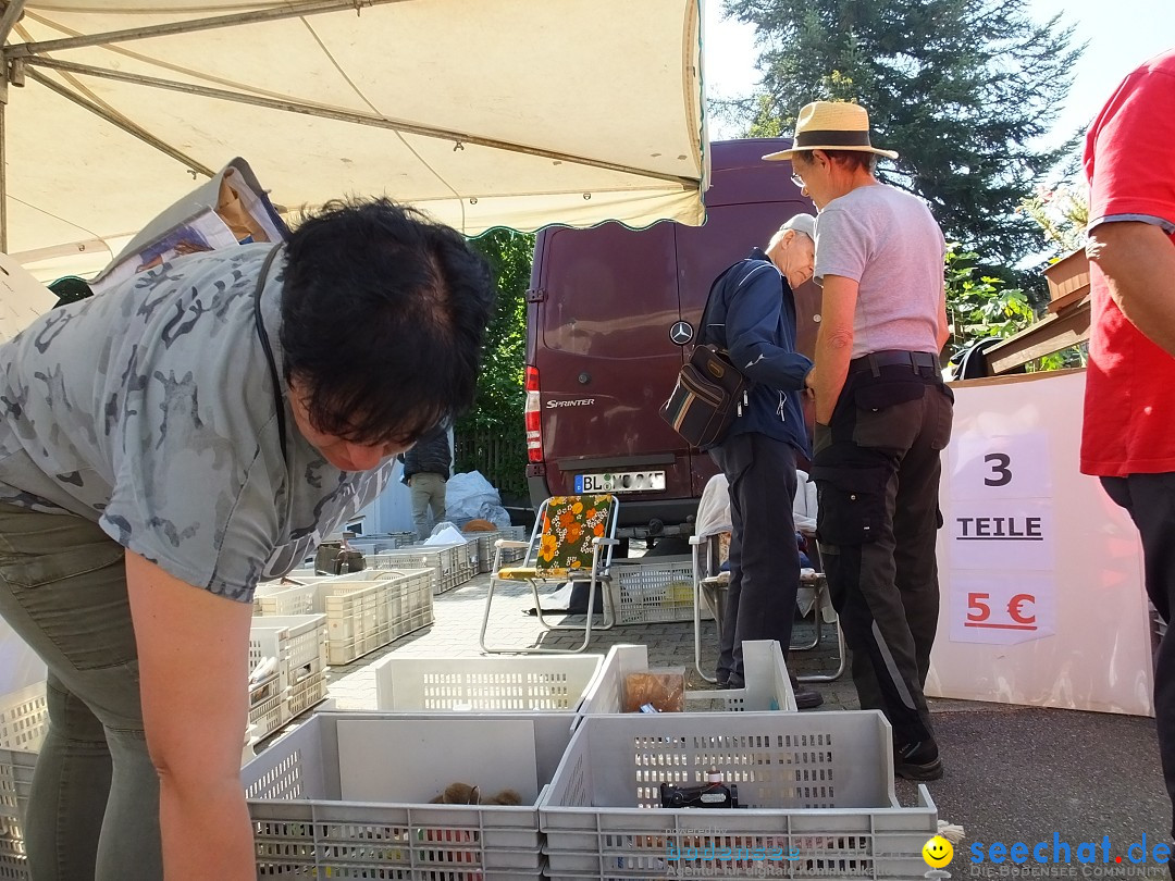 Baehnlesfest: Tettnang am Bodensee, 09.09.2018