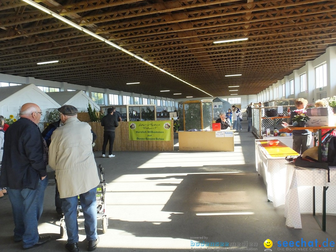 Rassegefluegelschau: Riedlingen, 14.10.2018