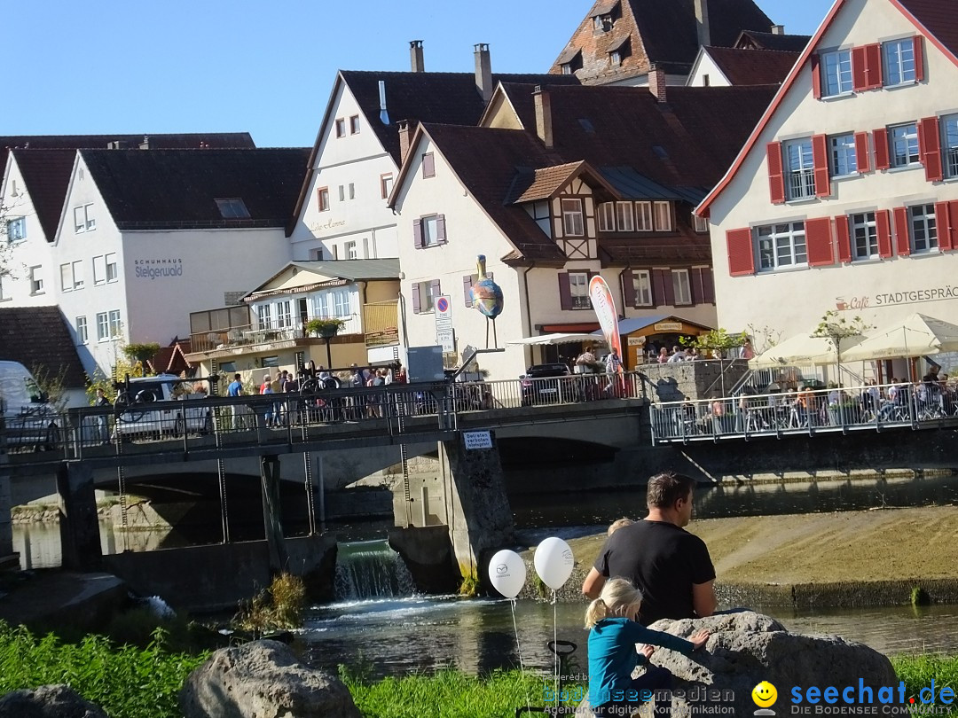 Gallusmarkt: Riedlingen, 14.10.2018