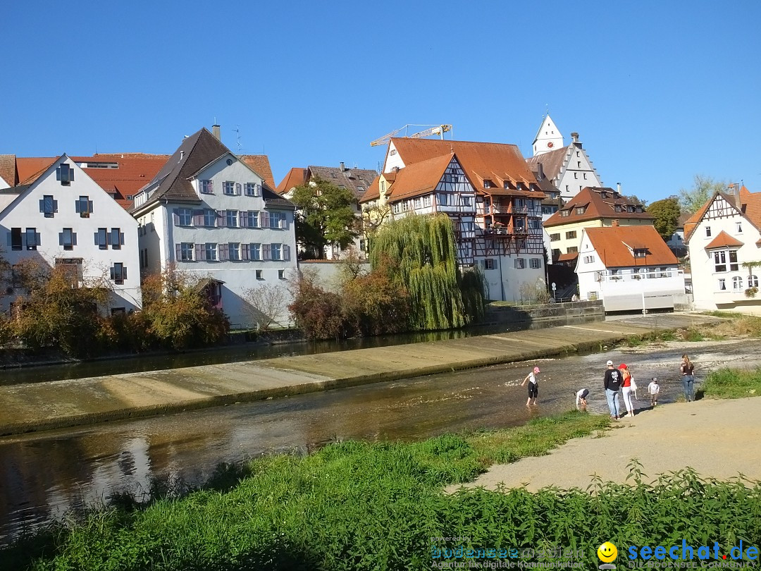 Gallusmarkt: Riedlingen, 14.10.2018