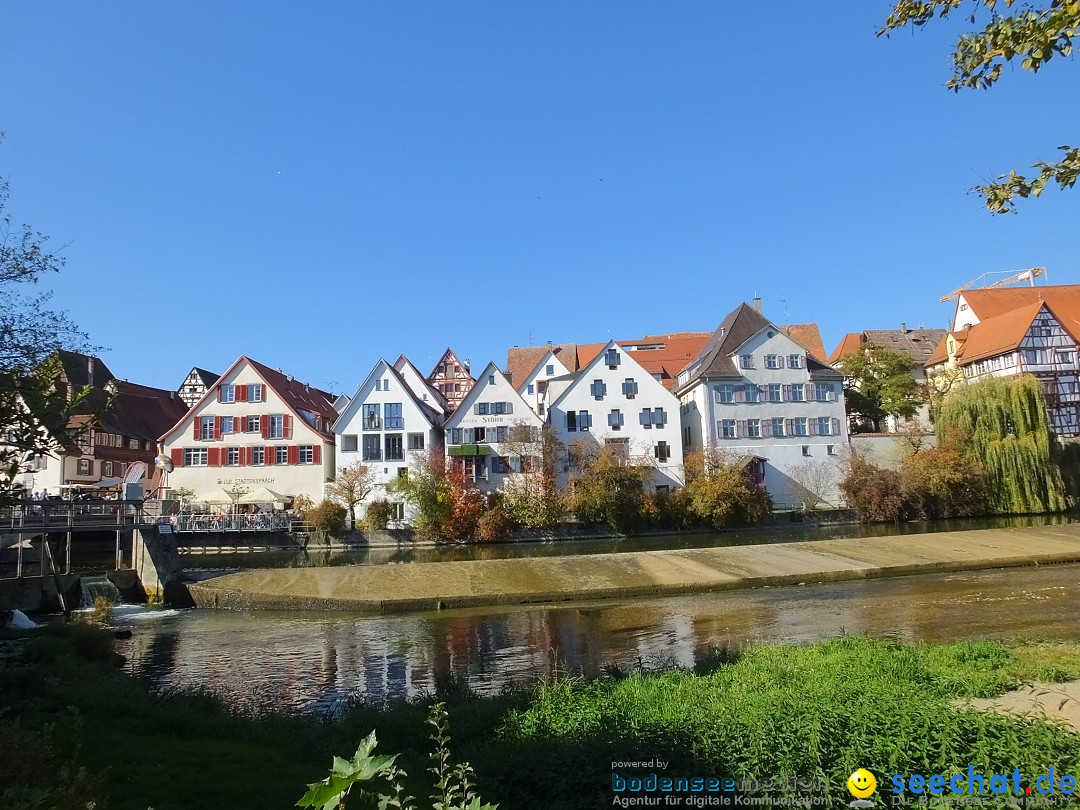 Gallusmarkt: Riedlingen, 14.10.2018