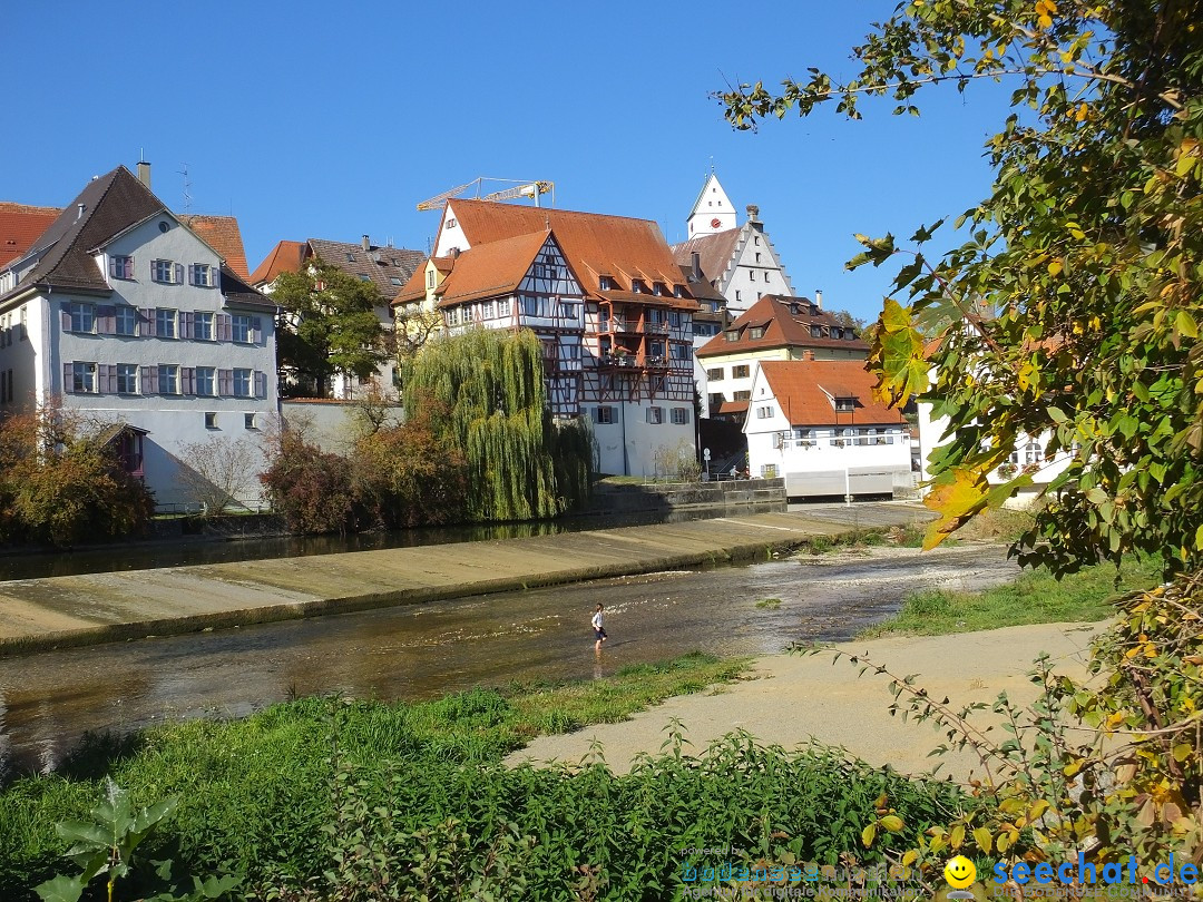 Gallusmarkt: Riedlingen, 14.10.2018