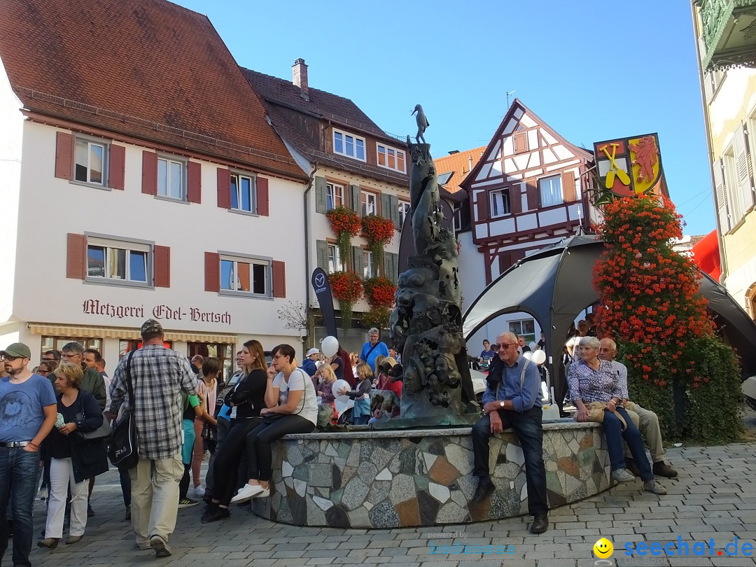 Gallusmarkt: Riedlingen, 14.10.2018