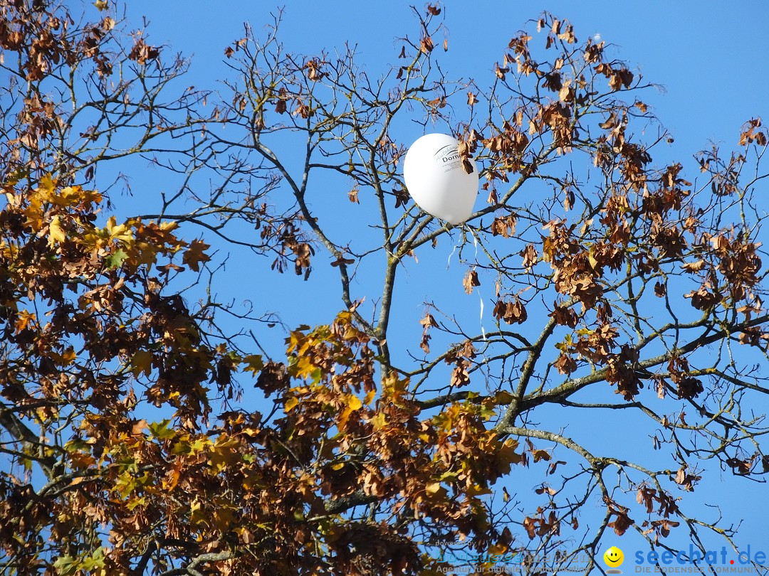 Gallusmarkt: Riedlingen, 14.10.2018