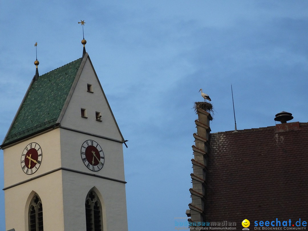 Gallusmarkt: Riedlingen, 14.10.2018