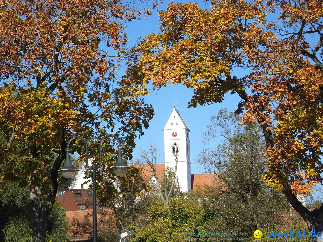 Gallusmarkt: Riedlingen, 14.10.2018