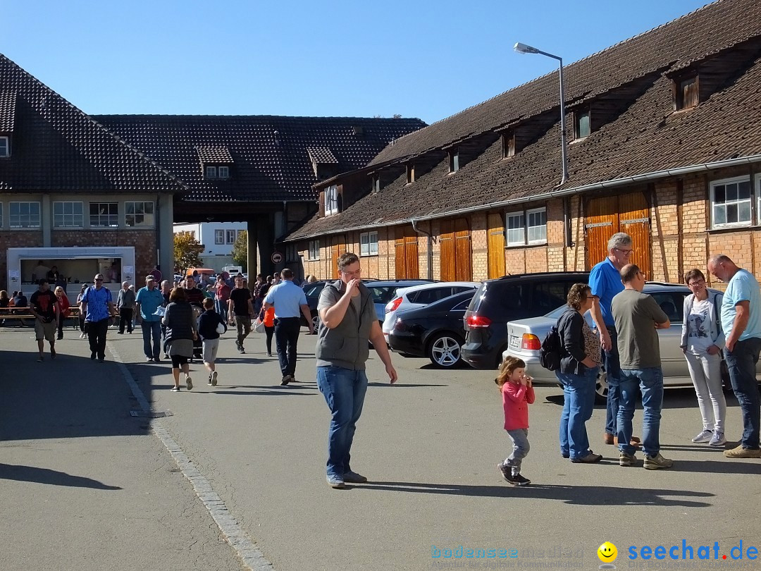 Gallusmarkt: Riedlingen, 14.10.2018