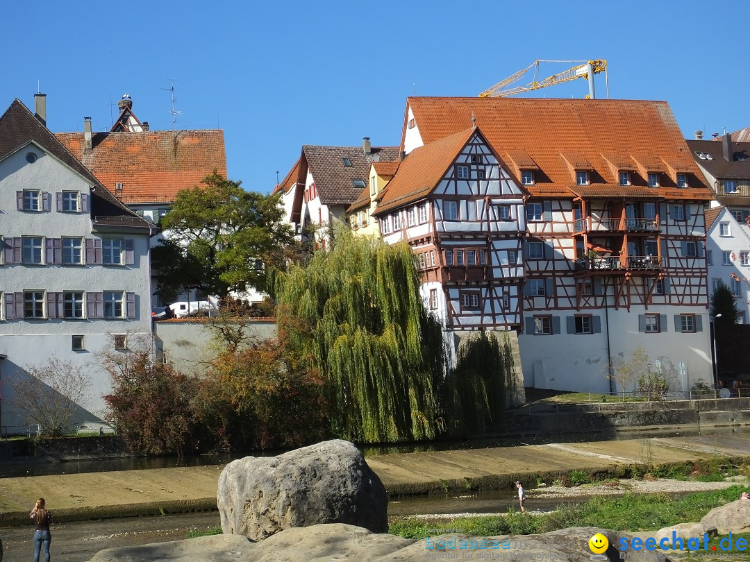 Gallusmarkt: Riedlingen, 14.10.2018