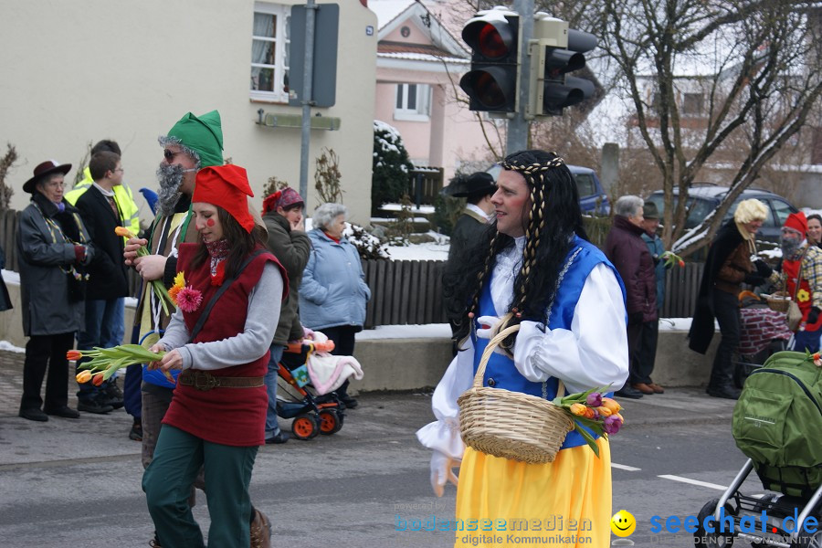 Narrensprung - Besenwirtschaft: Nenzingen, 14.02.2010