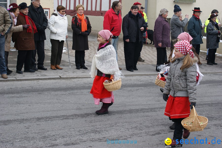 Narrensprung - Besenwirtschaft: Nenzingen, 14.02.2010