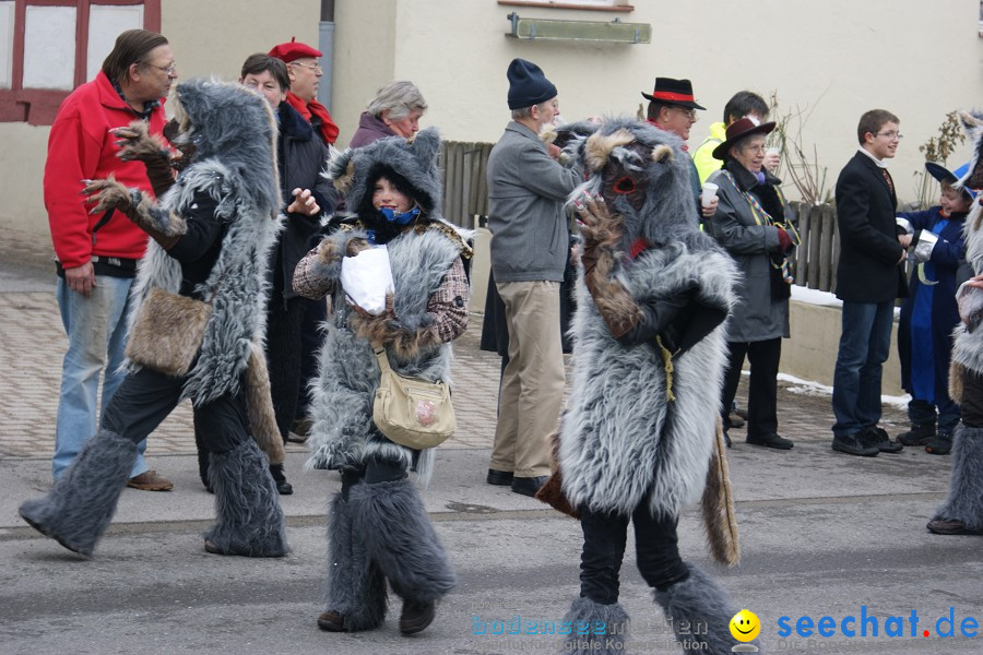 Narrensprung - Besenwirtschaft: Nenzingen, 14.02.2010