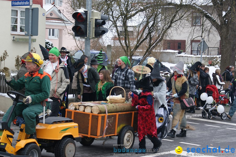 Narrensprung - Besenwirtschaft: Nenzingen, 14.02.2010