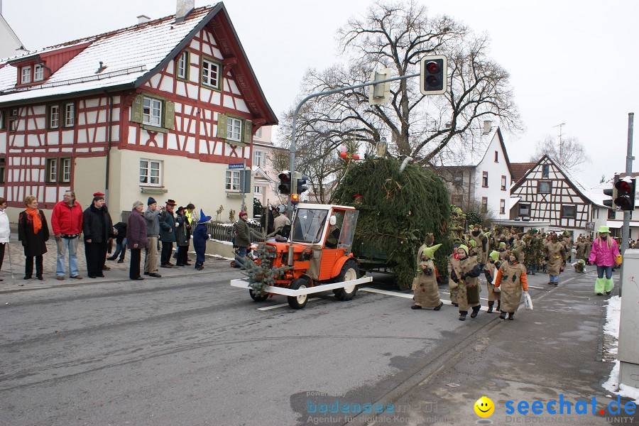 Narrensprung - Besenwirtschaft: Nenzingen, 14.02.2010